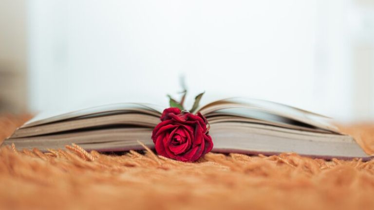 Livros de Romance