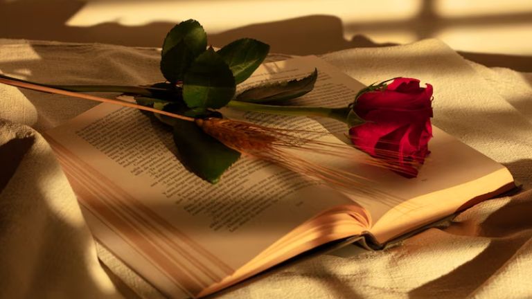 Livros de Romance