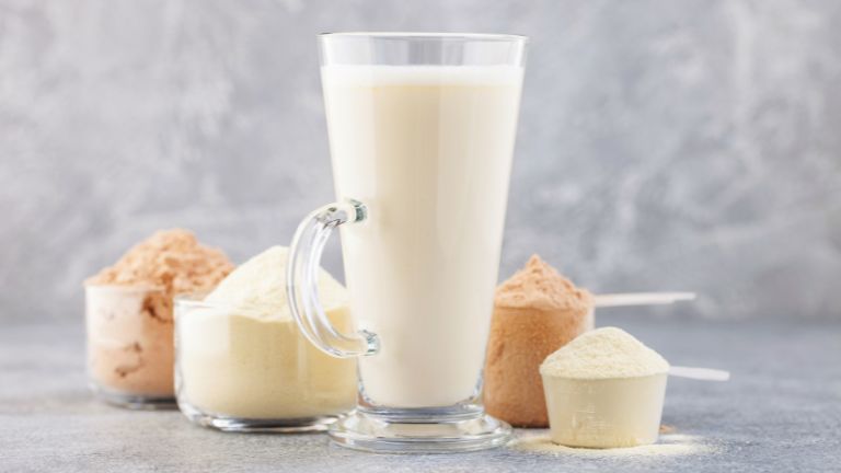 tipos Whey Protein